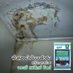 คลิกเลย จระเข้ เฟล็กซ์ ชิลด์ ซีเมนต์ทากันซึมชนิดยืดหยุ่น ขนาด 20 กิโลกรัม 0