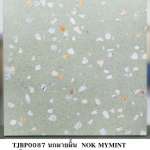 คลิกเลย BIRDY กระเบื้องเซรามิคชนิดเคลือบ เกรด A ตรานก ขนาด 40 x 40 cm. ลายนกมายมิ้น 0