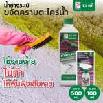 คลิกเลย น้ำยาจระเข้ ขจัดตะไคร่น้ำ น้ำยาขจัดคราบตะไคร่น้ำบนพื้นปูน และสระว่ายน้ำ ขนาด 100 มล.