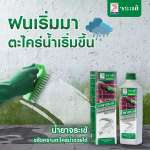คลิกเลย น้ำยาจระเข้ ขจัดตะไคร่น้ำ น้ำยาขจัดคราบตะไคร่น้ำบนพื้นปูน และสระว่ายน้ำ ขนาด 10 ลิตร 0