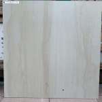 GP MELONI BEIGE (N SATIN) R/T 60 x 60 PM (COTTO)*คลิกดูรายละเอียดเพิ่มเติมนะคะ 0