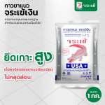 คลิกเลย กาวยาแนว จระเข้เงิน กาวยาแนวมาตราฐานอเมริกา สำหรับยาแนวกระเบื้องทั่วไป ขนาด 1 กิโลกรัม 0