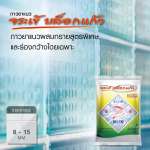 คลิกเลย กาวยาแนวจระเข้ บล็อกแก้ว มาตรฐานอเมริกา สำหรับบล็อกแก้วและงานยาแนวร่องกว้างพิเศษ ขนาด 1 กิโลกรัม