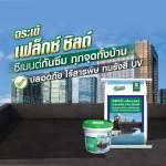 คลิกเลย จระเข้ เฟล็กซ์ ชิลด์ ซีเมนต์ทากันซึมชนิดยืดหยุ่น ขนาด 1 กิโลกรัม