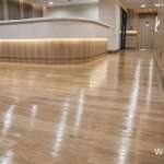 คลิกเลย DYNOFLEX กระเบื้องยางแบบเนื้อฟิล์ม WOOD Series 10 x 91.6, 15 x 92, 16 x 120 cm. หนา 2.0/2.5/3.0 mm. 