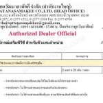 STARFLEX - PVC COVE FORMER เส้นพีวีซีเสริมมุม ขนาด 25 x 25 มม.*คลิกดูรายละเอียดเพิ่มเติมนะคะ