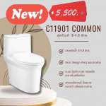 คลิกเลย COTTO สุขภัณฑ์ชิ้นเดียว รุ่น COMMON ใช้น้ำ 3/4.8 ลิตร ระบบชำระล้าง Siphon Jet 0