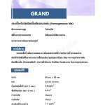 คลิกเลย DYNOFLEX กระเบื้องยาง 60 x 60 cm. หนา 2.0/2.5 mm. รุ่น GRAND