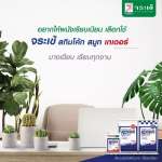 คลิกเลย จระเข้ เกเตอร์ สกิมโค้ท สมูท ปูนฉาบบาง ชนิดเนื้อละเอียด ขนาด 20 กิโลกรัม